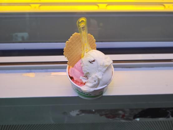 Cup of ice cream, on a counter