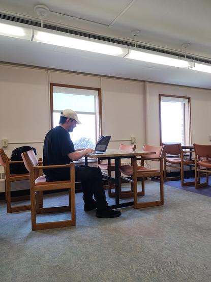 Photo of me working on my laptop in a quiet study room at WWU library
