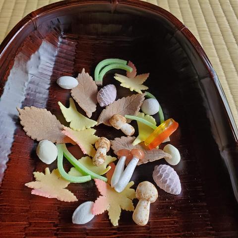 Dried sweets that mimic forest litter (fallen leaves, nuts and fungi).