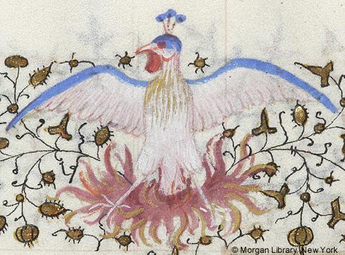 A piece of medieval marginalia of a white phoenix with blue highlights, a red wattle and a three-piece blue crown on a bed of red flames. The phoenix looks rather cheerful.
