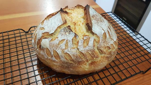 a loaf of sourdough with a wheat stem shaped score mark circling its base.