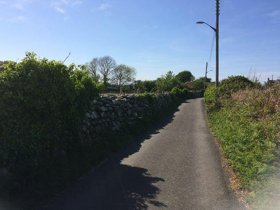 A narrow lane, walled, in bright sunshine. Blue spring sky, some trees not yet in leaf.