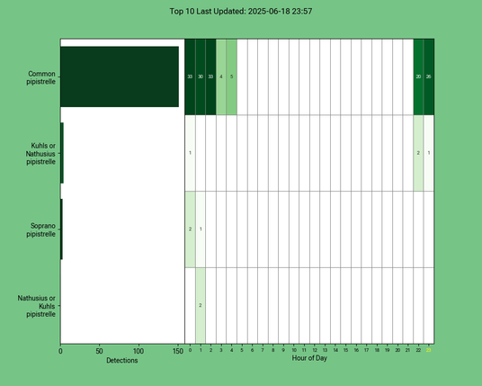 Diagramm der Fledermäuse vom 18.06.2025