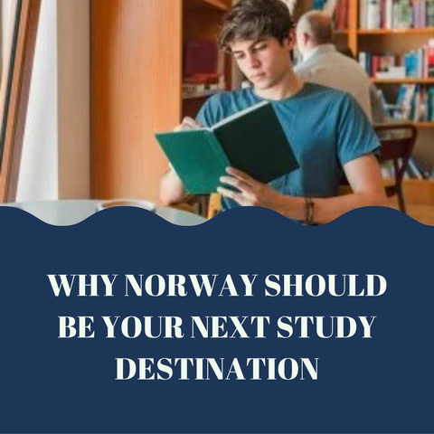 Why Norway Should Be Your Next Study Destination
