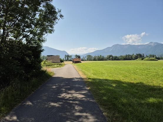 A scenic view of a road leading to a vast field is depicted in the image. The road is surrounded by lush green grass and tall trees, with a clear blue sky and fluffy white clouds overhead. In the distance, a majestic mountain can be seen, adding to the picturesque landscape. The image captures the beauty of nature in a rural area, with a peaceful and serene atmosphere. The dominant colors in the image are black and a vibrant green accent color. The presence of a tree in the foreground adds dept…