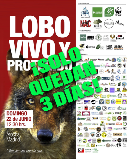 Cartel de la manifestación Lobo vivo y protegido, sobre la que se lee en letras verdes ¡SOLO QUEDAN 3 DÍAS!