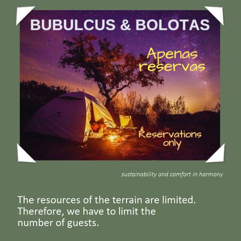 Night view of a camping scene under a starry sky with a glowing tent and two chairs beside a small campfire. An oak tree stands nearby. Text on the image reads 'Bubulcus & Bolotas – Reservations only / Apenas reservas'. Below, a message explains: 'The resources of the terrain are limited. Therefore, we have to limit the number of guests.' The design emphasizes sustainability and harmony with nature.