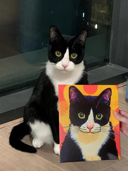 ALT

En la imagen, se observa un gato tuxedo sentado en el suelo junto a una ventana. El gato tiene un pelaje predominantemente negro con manchas blancas en el pecho, la nariz y las patas. Sus ojos son grandes y de color amarillo, y su expresión es atenta. A su lado, se encuentra un cuadro que representa al mismo gato, pero con un estilo artístico vibrante y colorido. El cuadro muestra al gato con un fondo de colores cálidos, como naranja y amarillo, y detalles en tonos azules y morados en las orejas. La ventana detrás del gato está oscura, lo que sugiere que es de noche. La imagen captura un momento lúdico y artístico, con el gato y su representación en el cuadro.