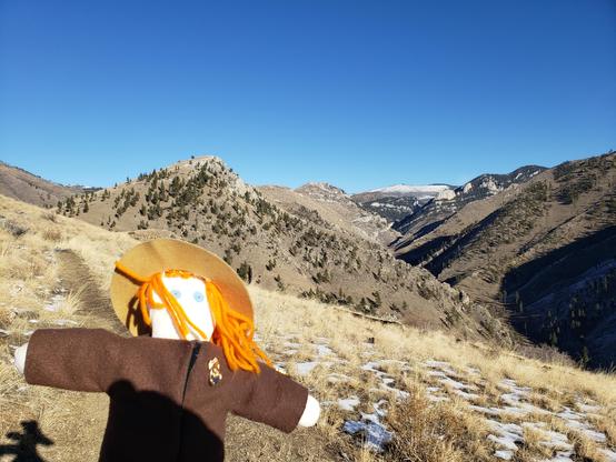 Ranger Sarah takes in the view of the Gates of the Mountains Wilderness Area.
— at Helena-Lewis and Clark National Forest.
