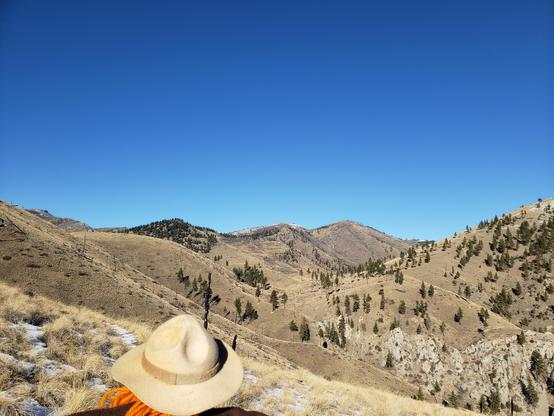 Ranger Sarah is at the high point on the Hunters Gulch Trail. She can see the trail making its way down the mountain. She doesn't want to hike back up so decides this is a good place to turn around.
— at Helena-Lewis and Clark National Forest.
