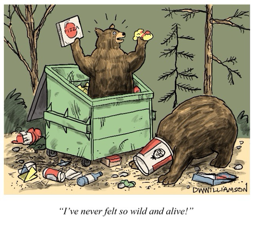 Bear in a dumpster with pizza box in his hand is exclaiming to his friend bear who has a chicken bucket stuck on his head, “I’ve never felt so wild and alive!”
