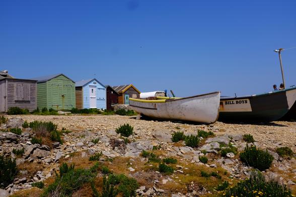 A view from the cliff to fishing boats and sheds above. One boat is painted white and the other black with 'Bill Boys' on the side. The sheds are painted different colours. In the forefront is an area covered with patches of low-growing salt-loving plants. 