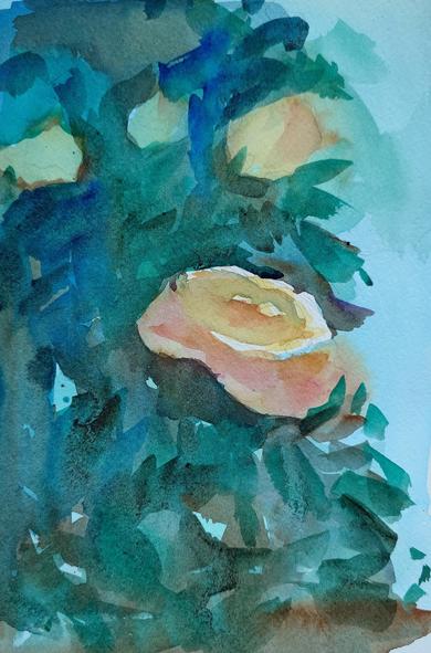 A watercolor painting of a rosebush. The roses are a full yellow orange. There is one main rose on the bush in full bloom and the others in the background are out of focus. The background is vaguely reminiscent of a bush full of leaves. Further still is a light blue background