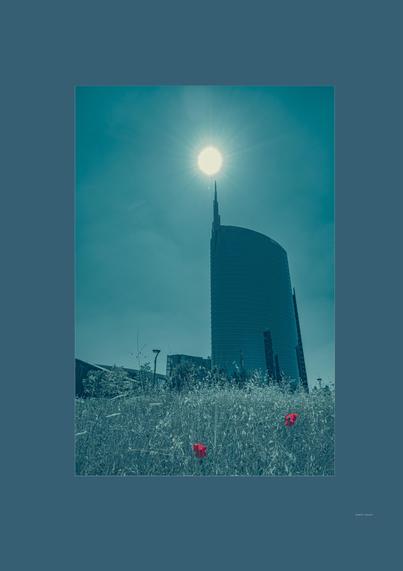 Summer midday sun shines above a towering human-made building and a mall, with vivid red flowers in the foreground. The entire scene is edited in muted colors, conveying a feeling of connection. The unblinking sun hangs beyond reach, mankind’s grandeur dwarfed by its own shadow, while the fragile, addictive red blooms cling as the only truth to the earth. Color speaks where words fall silent, holding countless unspoken thoughts in a single tone.