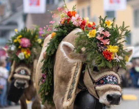 Switzerland’s alpine festivals