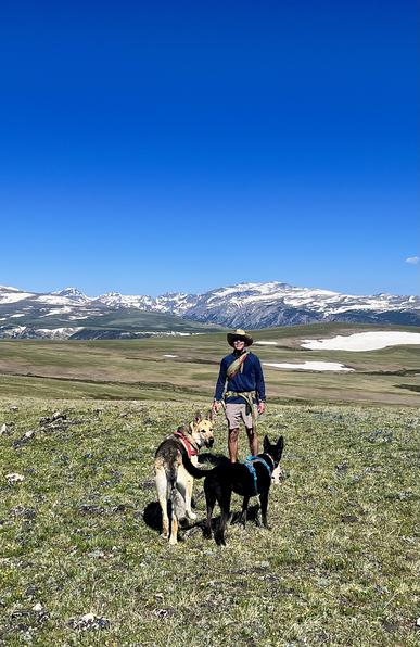 beautiful day to be sure 14C westerly breeze at start. 3100m here. just past fresh diggings and scat from brown bear. digging for grubs likely, I'm sure it was watching us. 