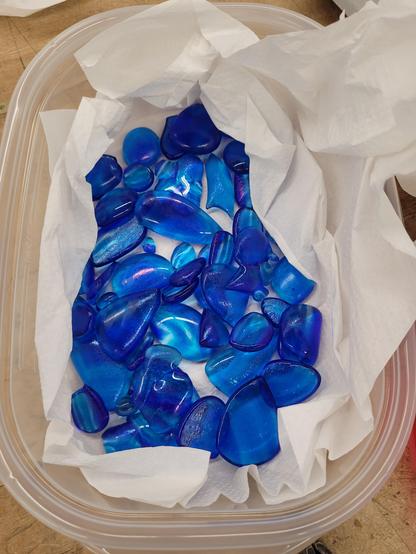 A plastic container lined with white paper towels, filled with blue glass cabochons.  They started as a stack of blues and clear glass, were fired into a "puddle", smashed up into bits, and then fired again, where they became rounded and pretty.