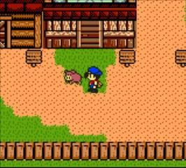 Cover image of Harvest Moon 3 GBC (2000)