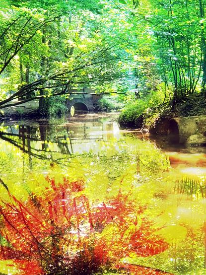 Une superposition de deux photos. L'une d'elle représente une rivière, le Cens, avec un pont une arrivée d'égout et une autre au premier plan, les pétales d'une fleur.