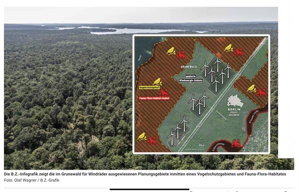 Die B.Z.-Infografik zeigt die im Grunewald für Windräder ausgewiesenen Planungsgebiete inmitten eines Vogelschutzgebietes und Fauna-Flora-Habitates
Foto: Olaf Wagner / B.Z.-Grafik