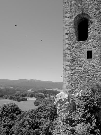 black and white photography. In the right third: a medieval tower on a steep cliff (partly made up of white quartz rock) with prominent windows (no glass, of course). The left side shows the landscape view behind the tower, with a clear sky and flying birds above 

Schwarz-Weiß-Fotografie. Im rechten Drittel: ein mittelalterlicher Turm auf einer steilen Klippe (teilweise aus weißem Quarzgestein bestehend) mit markanten Fenstern (natürlich ohne Glas). Die linke Seite zeigt den Blick auf die Landschaft hinter dem Turm, mit klarem Himmel und fliegenden Vögeln darüber