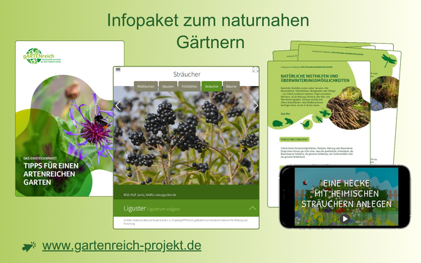 Vorschau: Infopaket für naturnahes Gärtnern. Broschüre mit Tipps, Pflanzensteckbriefe über verschiedene Sträucher, Frühblüher, Stauden, Wildblumen und Bäume, Videos mit Anleitungen zum Beispiel für eine Hecke, PDF-Anleitungen zum Beispiel für natürliche Nisthilfen. 