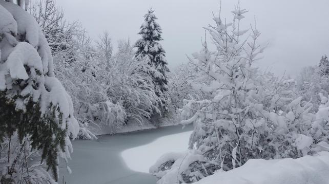 Eine tuef verschneite Landschaft. Wasser mit Eisdecke. Beschneite Bäume. Der Himmel ist grau.