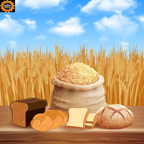 Harvest Gold Bread Collection – Nutritious Choices for Every Table
