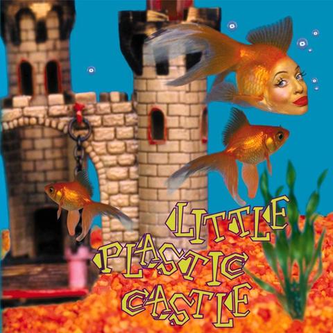 An image of the cover of the album 'Little Plastic Castle' by Ani DiFranco