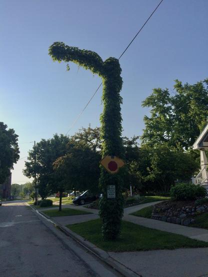 A street light with green vegetation covering it.