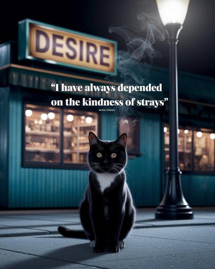 ①«Generated by ideogramai»
[Poster for the film A Streetcat Named Desire]
(Film noir style, still photo) A black cat stands under a street lamp. In the background is an old snack bar sign with the word "Desire" written on it. Only the cat's eyes shine mysteriously in the darkness. A movie poster with the words "I have always depended on the kindness of strays" floating like smoke.
#本日の成果物 #aiartcommunity