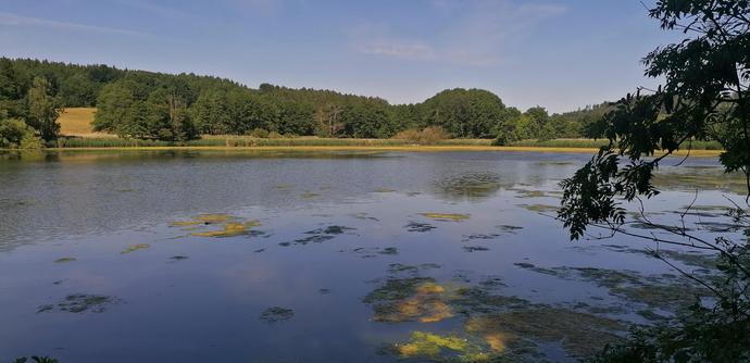 Blick auf einen Teich/See der vollkommen abgelegen und ruhig in der Landschaft liegt