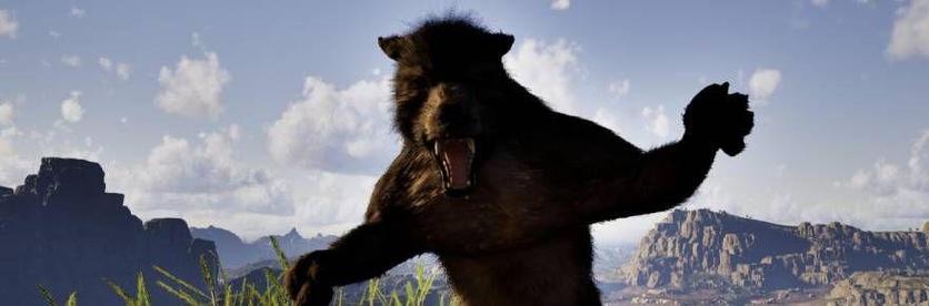 bears
