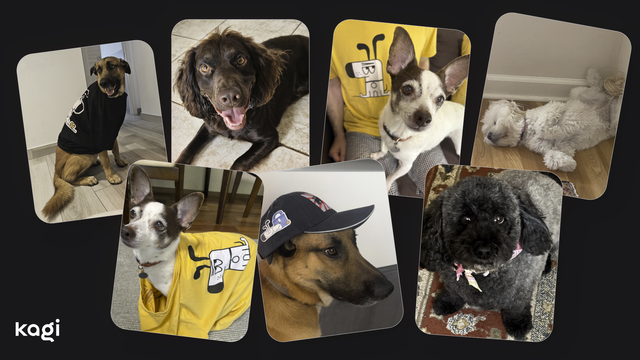A collage featuring seven different dogs belonging to Kagi’s team members, each in a separate photo. The dogs vary in breed and size, with some wearing clothes and accessories like a Kagi t-shirt and a hat with Kagi stickers.