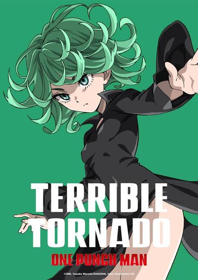 Meet Terrible Tornado: The Class S, Rank 2 Hero from One Punch Man