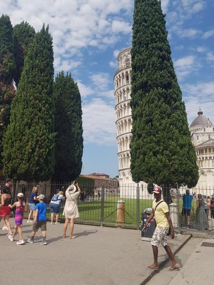 Leaning Tower of Pisa partly obscured by a cypress