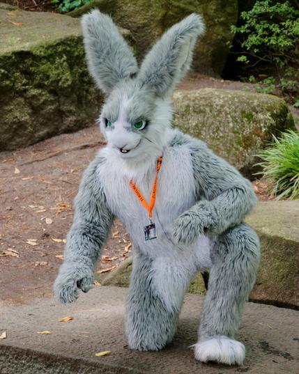 Gray and white rabbit fursuit with green eyes