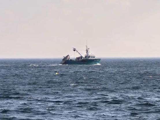 One of many boats coming in for the evening.