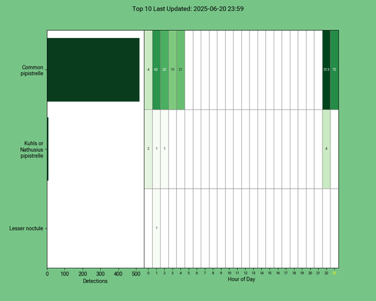 Diagramm der Fledermäuse vom 20.06.2025