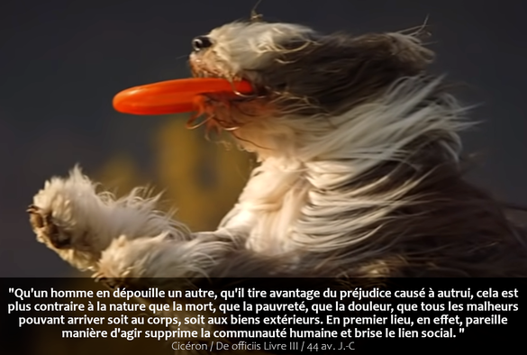 image : Caribou (music band)

"Qu'un homme en dépouille un autre, qu'il tire avantage du préjudice causé à autrui, cela est
plus contraire a la nature que la mort, que la pauvreté, que la douleur, que tous les malheurs
pouvant arriver soit au corps, soit aux biens extérieurs. En premier lieu, en effet, pareille
maniére d'agir supprime la communauté humaine et brise le lien social. "

Cicéron | De officiis Livre Ill / 44 av. J.-C
