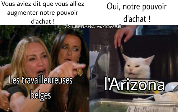 Mème en deux parties inspiré du célèbre format "femme qui crie sur un chat". À gauche, une femme en colère, étiquetée "Les travailleureuses belges", crie : « Vous aviez dit que vous alliez augmenter notre pouvoir d'achat ! ». À droite, un chat blanc assis à table, l'air blasé, est étiqueté « l'Arizona » et répond : « Oui, notre pouvoir d'achat ! ».