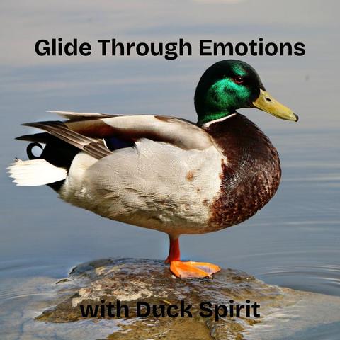 a duck