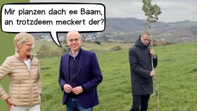 D'Lëtzebuerger Regierung planzt en Argument.