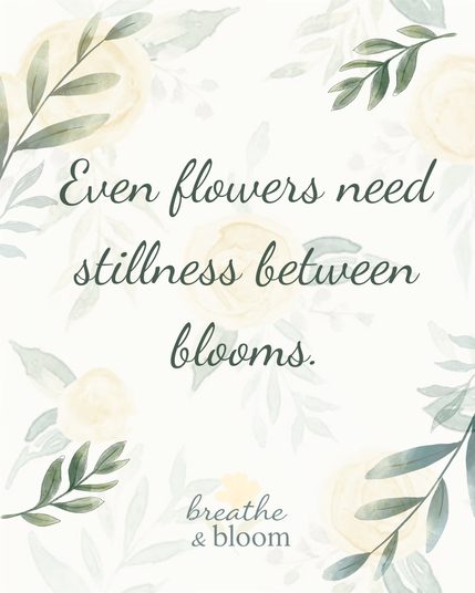 Even flowers need stillness between blooms.