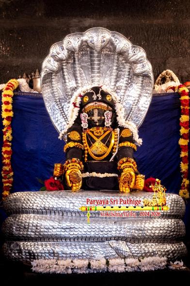 Idol of Hindu deity Krishna in black seated in a yoga position ("agnistambhaasana", aka "fire log") with hands over knees, both palms open and facing front. Krishna wears gold shoes, gold palm coverings, gold jewels, and a string of white flowers shoulder-shoulder passing over his head. A large red rose by each of his foot.

Krishna sits on a bed formed by a coiled 7-headed silver snake and the snake's head open, forming a protective shade over Krishna's head.

Blue cloth background. A string of red and yellow flowers hangs down at each end of the background.