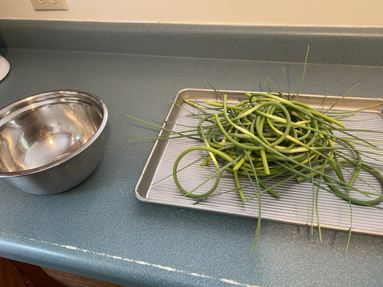 Pile of garlic scapes sitting on the kitchen counter