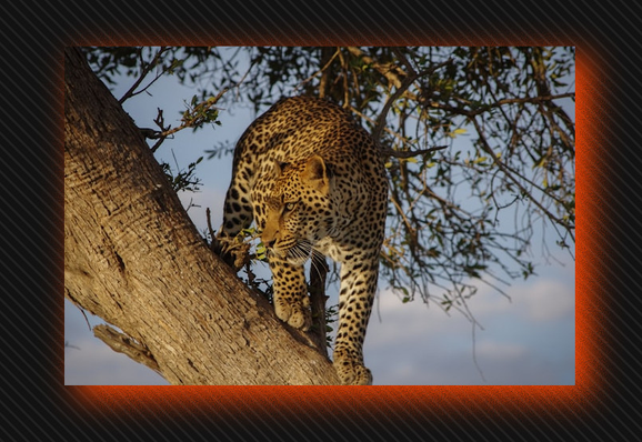 Image with a grainy fade shadow on top of a diagonal lines backdrop to better highlight the semi-transparency of the shadow fade.
