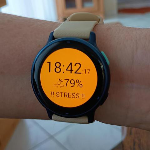 Pols met garmin smartwatch. De wijzerplaat is feloranje met de tijd (18:42), een figuurtje met armen zijwaarts gestrekt en drie streepjes biven het hoofd en 79%, en het woord stress in capslock met uitroeptekens eromheen