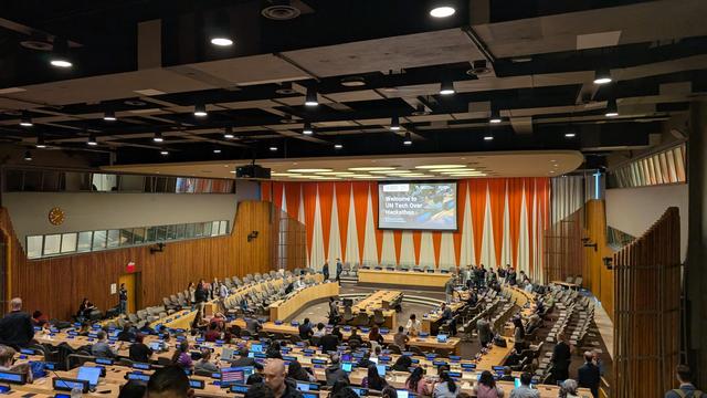 UN Open Source Maintain-a-thon day