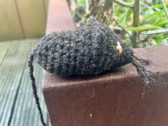 Dark brown crocheted blob shape that vaguely resembles a mouse. It has ears, whiskers, embroidered eyes and a very long thread as a tail. Its on the edge of a corten steel planter.